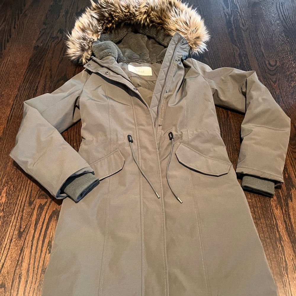 Aritizia Wilfred Northstar Premium Goose Down Parka - Picture 3 of 12